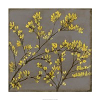 Forsythia I Fine Art Print
