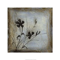 Silhouette Memory II Fine Art Print