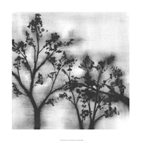 Silvery Trees I Framed Print