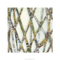 Lemongrass II Fine Art Print