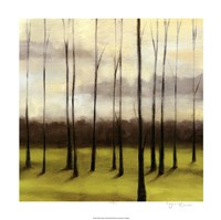 Sunlit Treeline I Framed Print