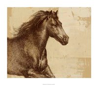 Majestic Horse I Fine Art Print