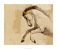Majestic Horse II Fine Art Print