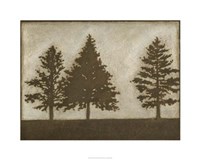 Silver Pine II Fine Art Print