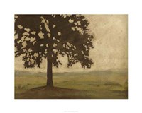 Shenandoah Vista I Fine Art Print