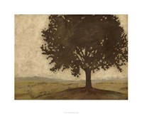 Shenandoah Vista II Fine Art Print