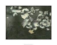 Remnants II Fine Art Print