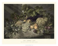 The Summer Gift Fine Art Print