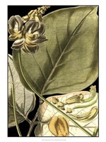 Tranquil Tropical Leaves I Fine Art Print