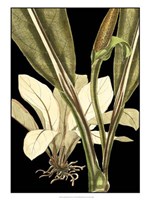 Tranquil Tropical Leaves V Fine Art Print