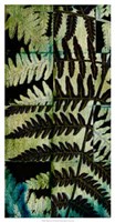 Midnight Ferns II Fine Art Print