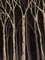 Midnight Birches I Fine Art Print