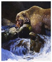 Barehanded Fishing Fine Art Print