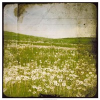 Field I Fine Art Print