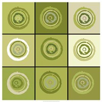 Concentric Sage Fine Art Print