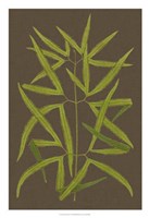 Ferns on Linen I Fine Art Print