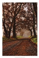 Morning on Sparks Lane II Fine Art Print