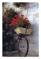 Flower Box Bike by Meg Mccomb - 18" x 26"