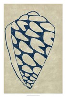 Indigo Shell IV Fine Art Print