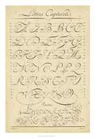 Alphabet Sampler IV Fine Art Print