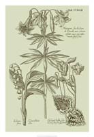 Garden of Flora IV Fine Art Print