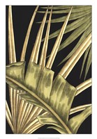 Rustic Tropical Leaves III Fine Art Print