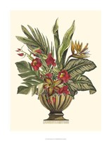 Tropical Foliage in Urn II Framed Print