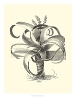 B&W Besler Aloe Fine Art Print
