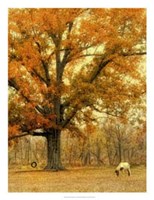 Autumn Grazing Fine Art Print
