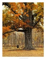 Tree Swing Fine Art Print