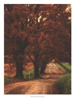 Dirt Road Fine Art Print