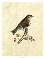 Birds III Fine Art Print