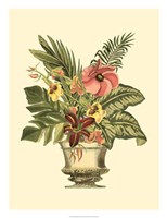 Tropical Elegance II Framed Print