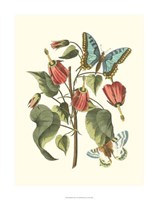 Midsummer Floral I Fine Art Print