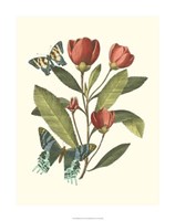 Midsummer Floral II Fine Art Print