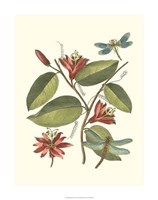 Midsummer Floral IV Fine Art Print