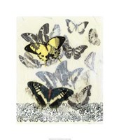 Butterfly Habitat I Framed Print