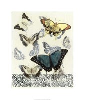 Butterfly Habitat II Framed Print