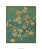 Arcadia II Framed Print