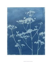 Indigo Print II Fine Art Print