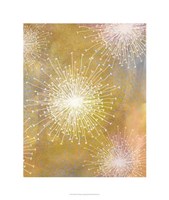 Allium II Fine Art Print