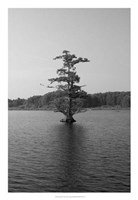 Riverscape I Framed Print