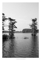 Riverscape II Framed Print