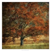 Resting Place Fine Art Print