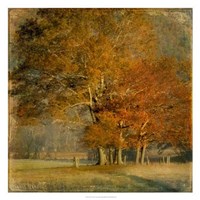 Cluster of Oaks Fine Art Print