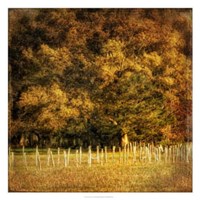 Fence Row Fine Art Print