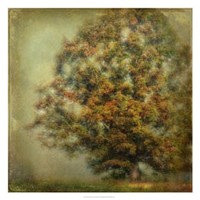 Autumn's Dream Fine Art Print
