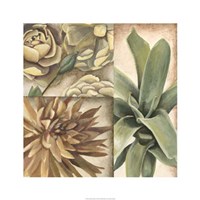 Garden Glimpses I Fine Art Print