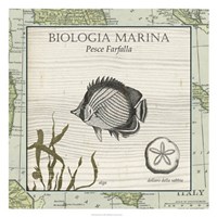 Biologia Marina I Fine Art Print