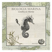 Biologia Marina III Fine Art Print